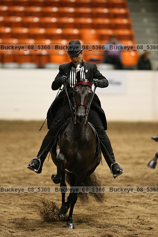 Proof buckeye_08_5366