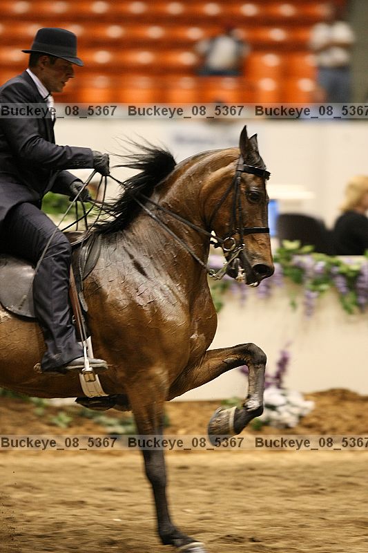 Proof buckeye_08_5367
