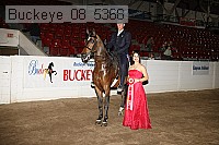 buckeye_08_5368 proof