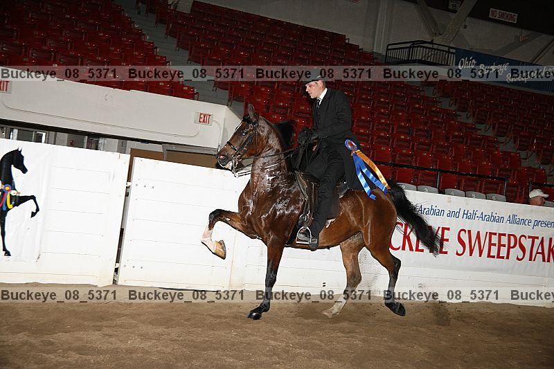 Proof buckeye_08_5371