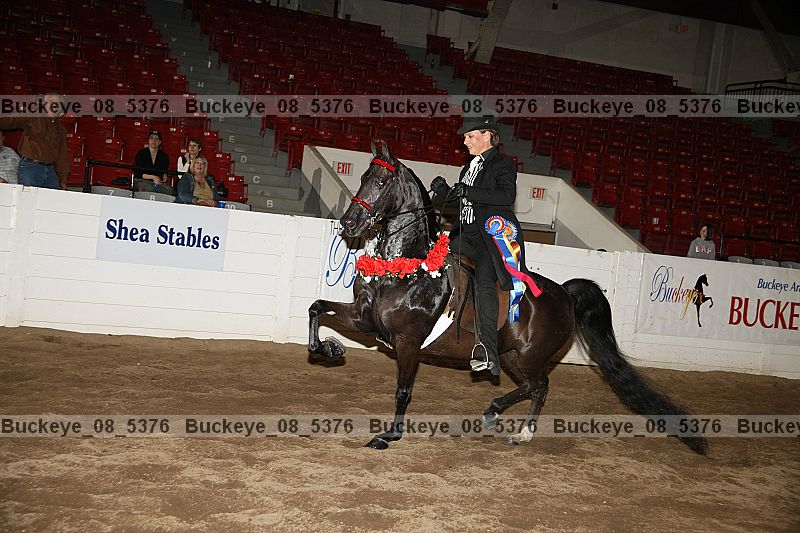 Proof buckeye_08_5376