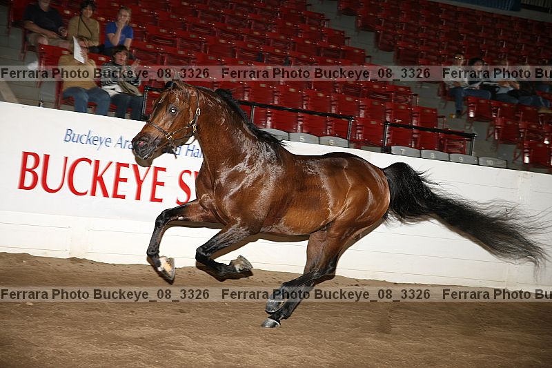 Proof buckeye_08_3326