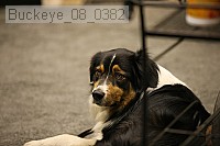 buckeye_08_0382 proof