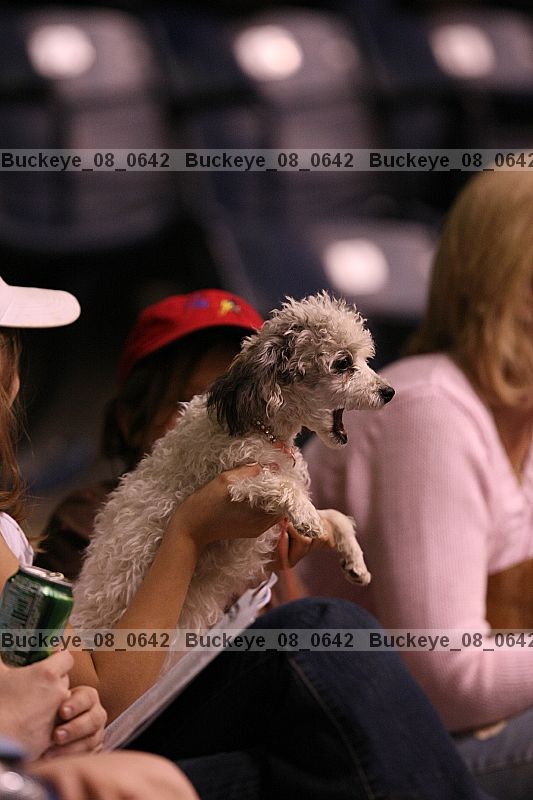 Proof buckeye_08_0642