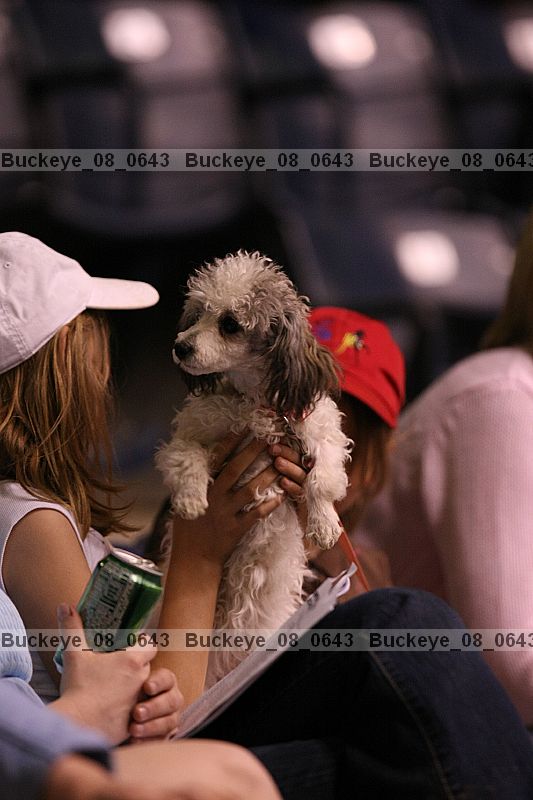 Proof buckeye_08_0643
