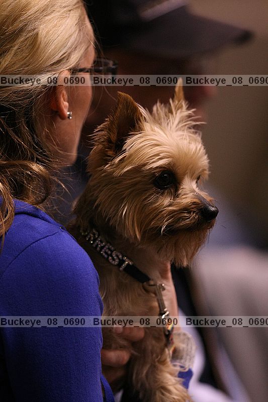 Proof buckeye_08_0690