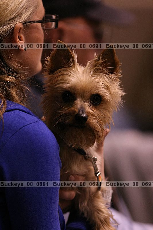 Proof buckeye_08_0691
