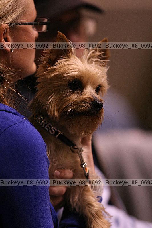 Proof buckeye_08_0692