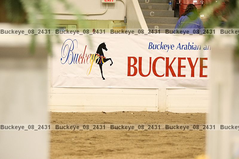 Proof buckeye_08_2431
