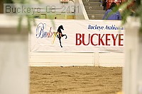 buckeye_08_2431 proof