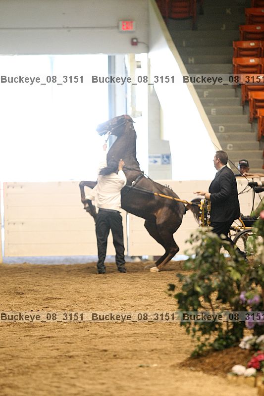 Proof buckeye_08_3151