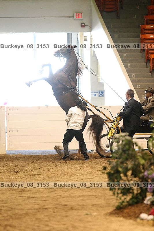 Proof buckeye_08_3153