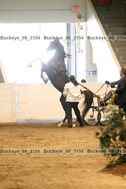 Proof buckeye_08_3154