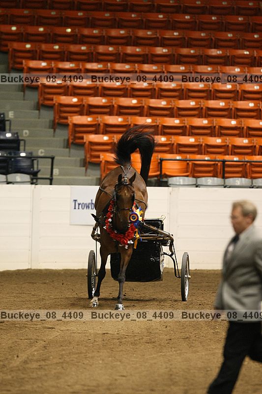 Proof buckeye_08_4409