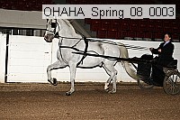 ohaha_spring_08_0003 proof
