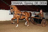 ohaha_spring_08_0004 proof
