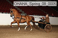 ohaha_spring_08_0005 proof