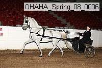ohaha_spring_08_0006 proof