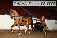 ohaha_spring_08_0008 proof