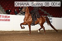 ohaha_spring_08_0014 proof