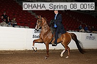 ohaha_spring_08_0016 proof