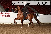ohaha_spring_08_0017 proof