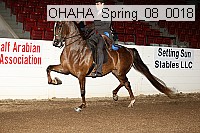 ohaha_spring_08_0018 proof