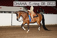 ohaha_spring_08_0022 proof
