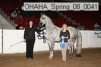 ohaha_spring_08_0041 proof