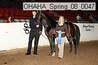ohaha_spring_08_0047 proof