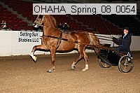 ohaha_spring_08_0054 proof