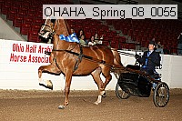 ohaha_spring_08_0055 proof