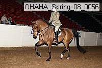 ohaha_spring_08_0056 proof