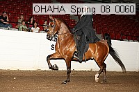 ohaha_spring_08_0060 proof