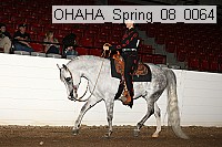 ohaha_spring_08_0064 proof