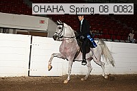 ohaha_spring_08_0082 proof