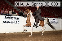 ohaha_spring_08_0091 proof