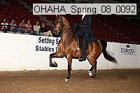 ohaha_spring_08_0092 proof