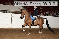 ohaha_spring_08_0101 proof