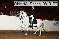 ohaha_spring_08_0102 proof