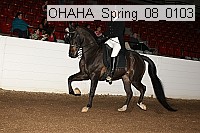 ohaha_spring_08_0103 proof