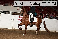 ohaha_spring_08_0104 proof