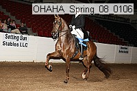 ohaha_spring_08_0106 proof