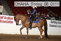ohaha_spring_08_0111 proof