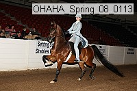 ohaha_spring_08_0113 proof