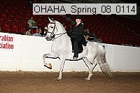 ohaha_spring_08_0114 proof