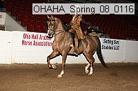 ohaha_spring_08_0116 proof
