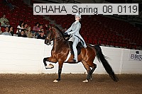 ohaha_spring_08_0119 proof