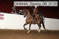 ohaha_spring_08_0120 proof