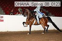 ohaha_spring_08_0123 proof